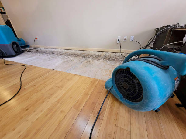 Professional Ceiling Water Damage Repair technician working in Allentown, PA